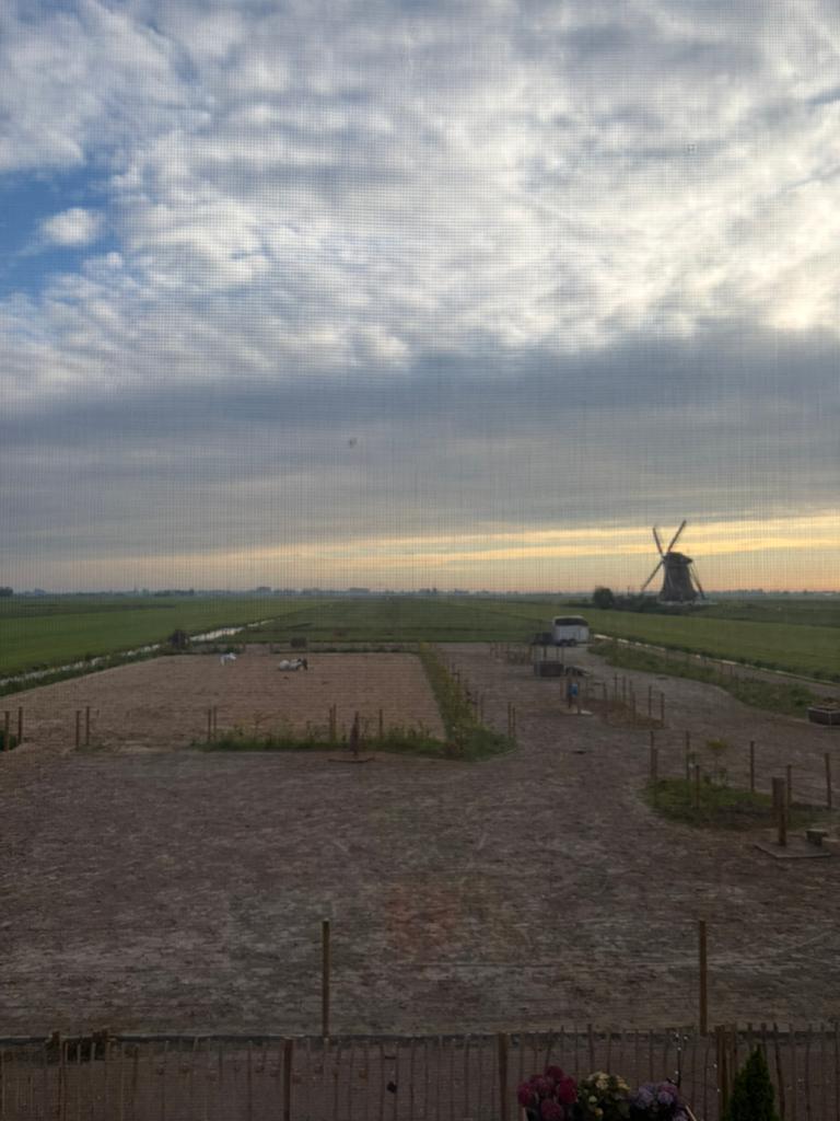 Stalling vrij browsing paddock, Dieren en Toebehoren, Stalling en Weidegang, Stalling