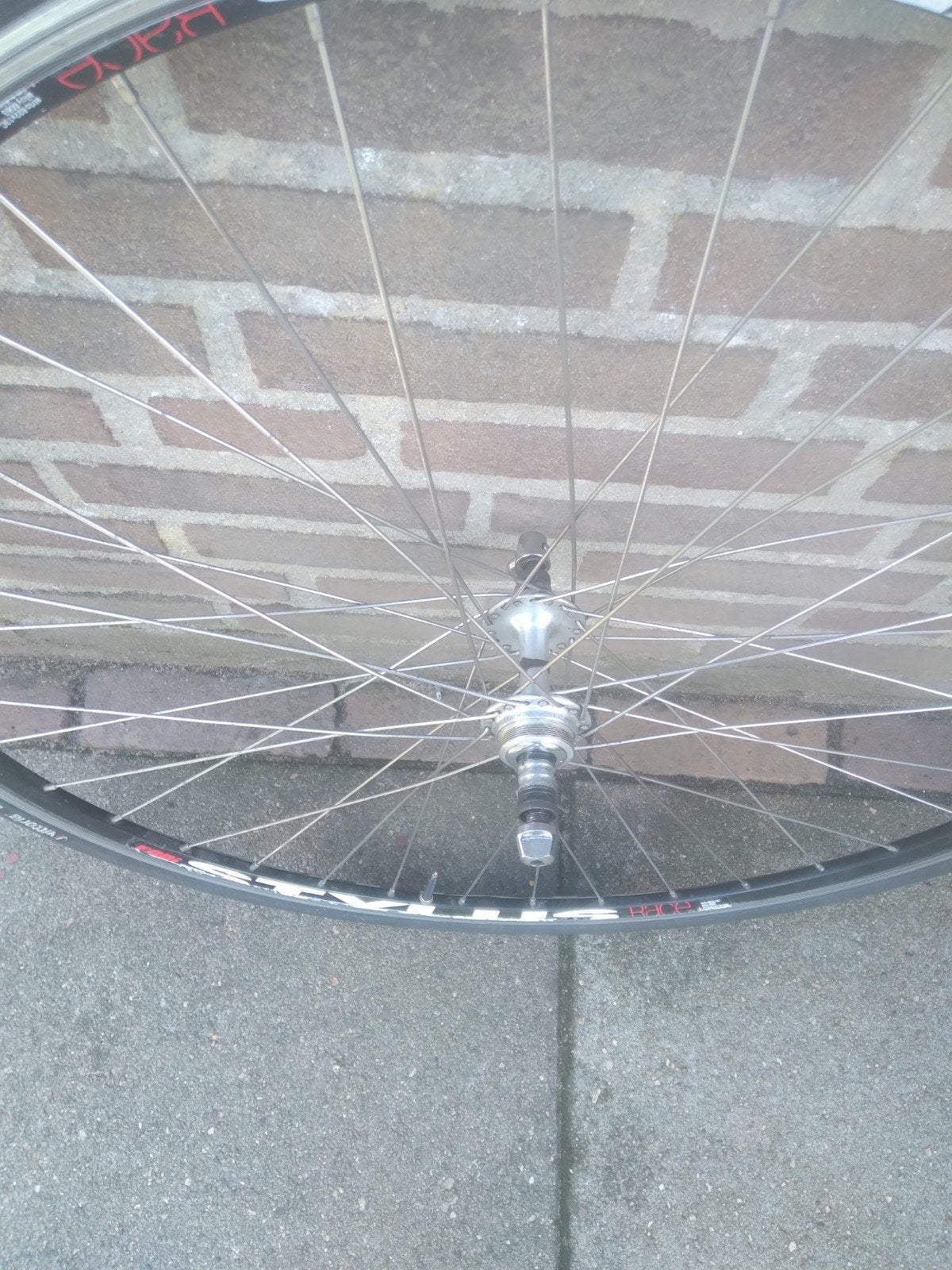 Campagnolo achterwiel 36sp., Ophalen of Verzenden
