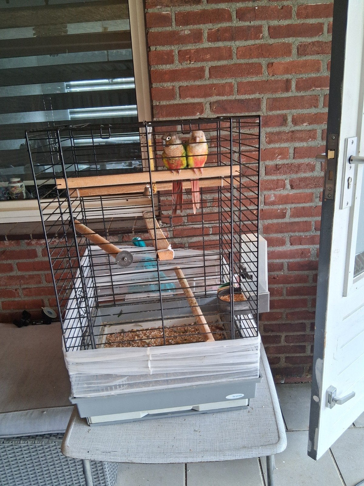 Vogels, Ophalen, Hout, Vogelkooi