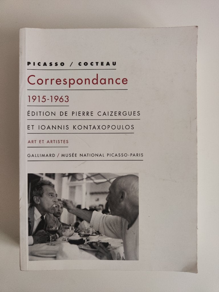 Correspondance: 1915-1963 - Picasso / Cocteau, Ophalen of Verzenden, Gelezen, Schilder- en Tekenkunst