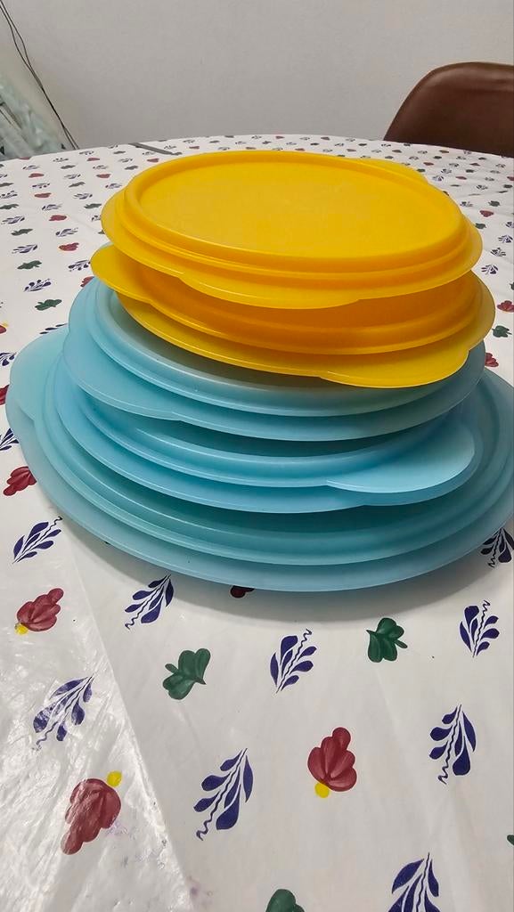 Tupperware., Ophalen, Blauw, Overige typen