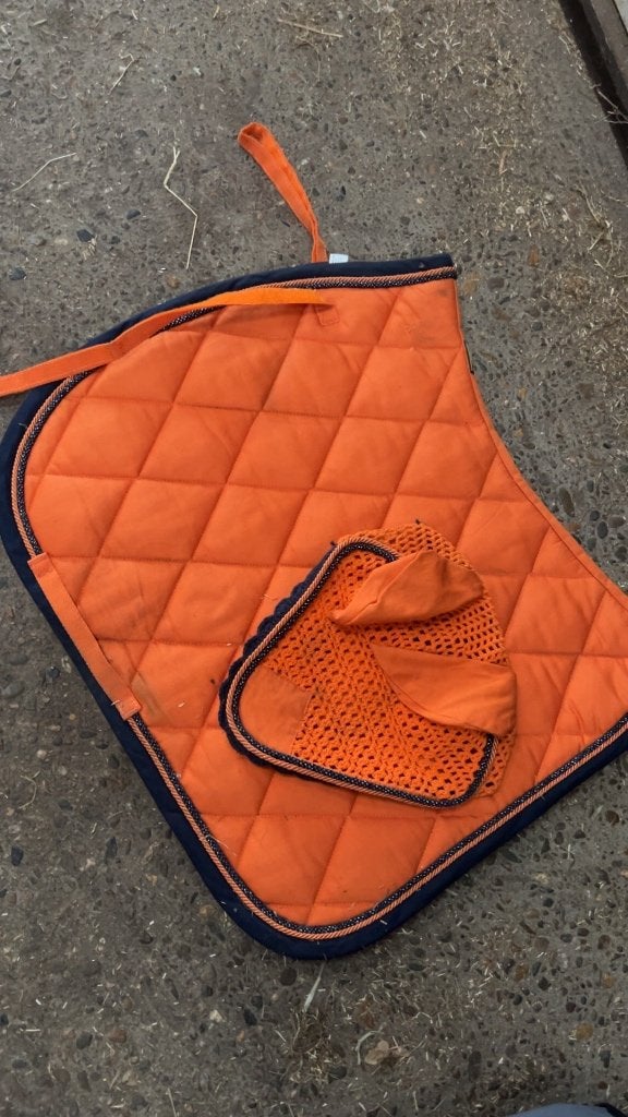 Rij setje oranje paard, Dieren en Toebehoren, Full (L), Oranje, BR, Katoen