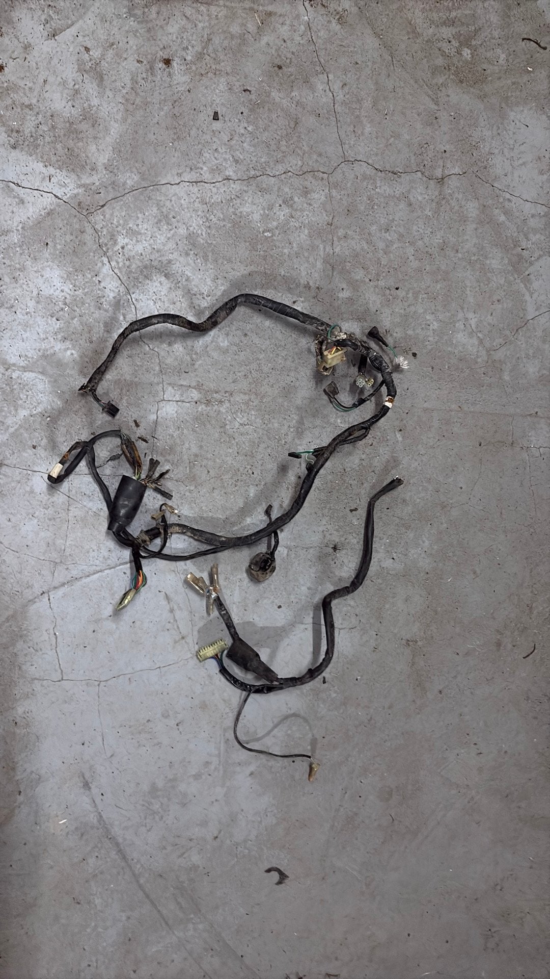 Honda mtx 125 kabelboom tc02, Ophalen of Verzenden, Gebruikt