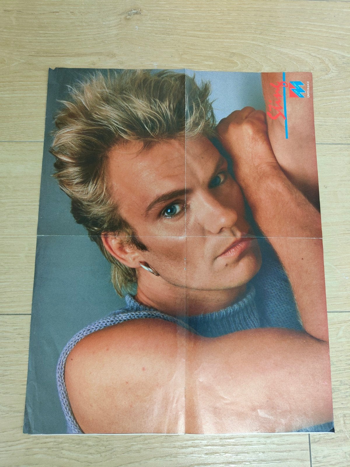 Grote Super Poster Sting uit de Muziek Expres., Rechthoekig Staand, Deurposter of groter, Ophalen of Verzenden, Zo goed als nieuw