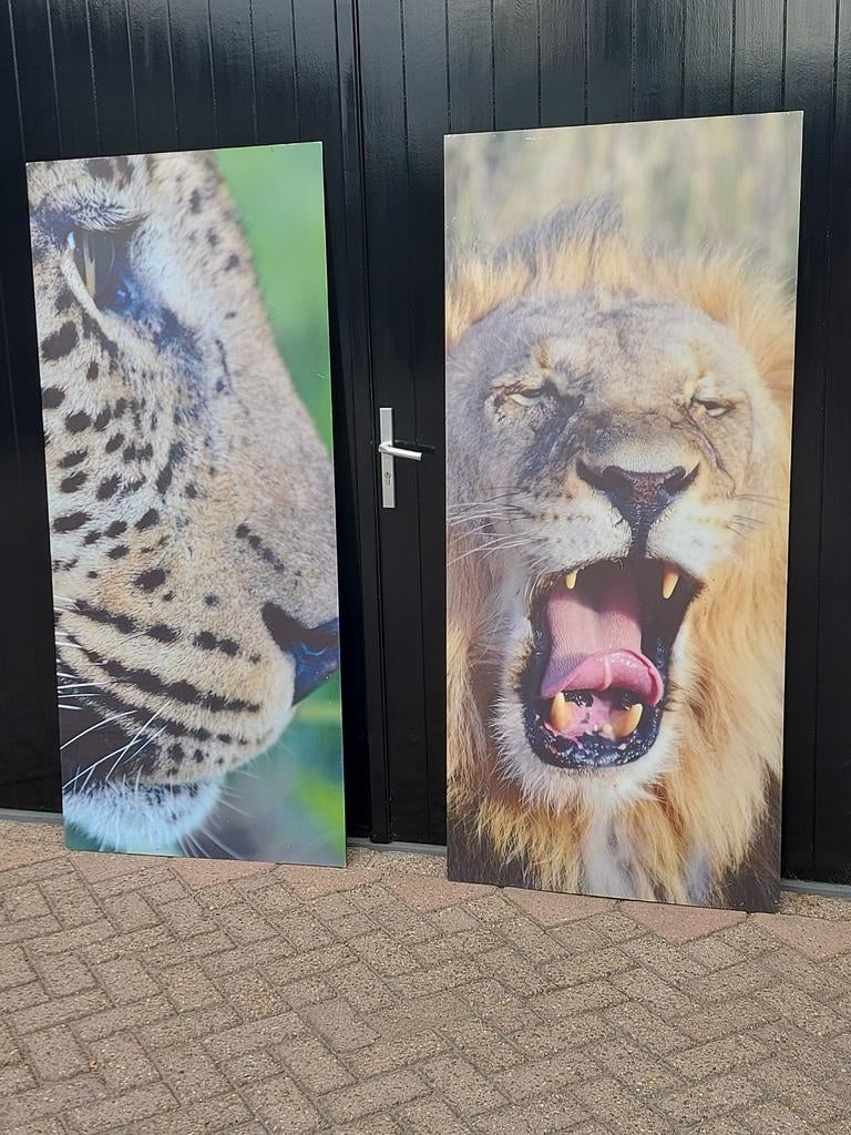 Wandplaten schilderij dierenplaat plexiglas muurbekleding, Ophalen