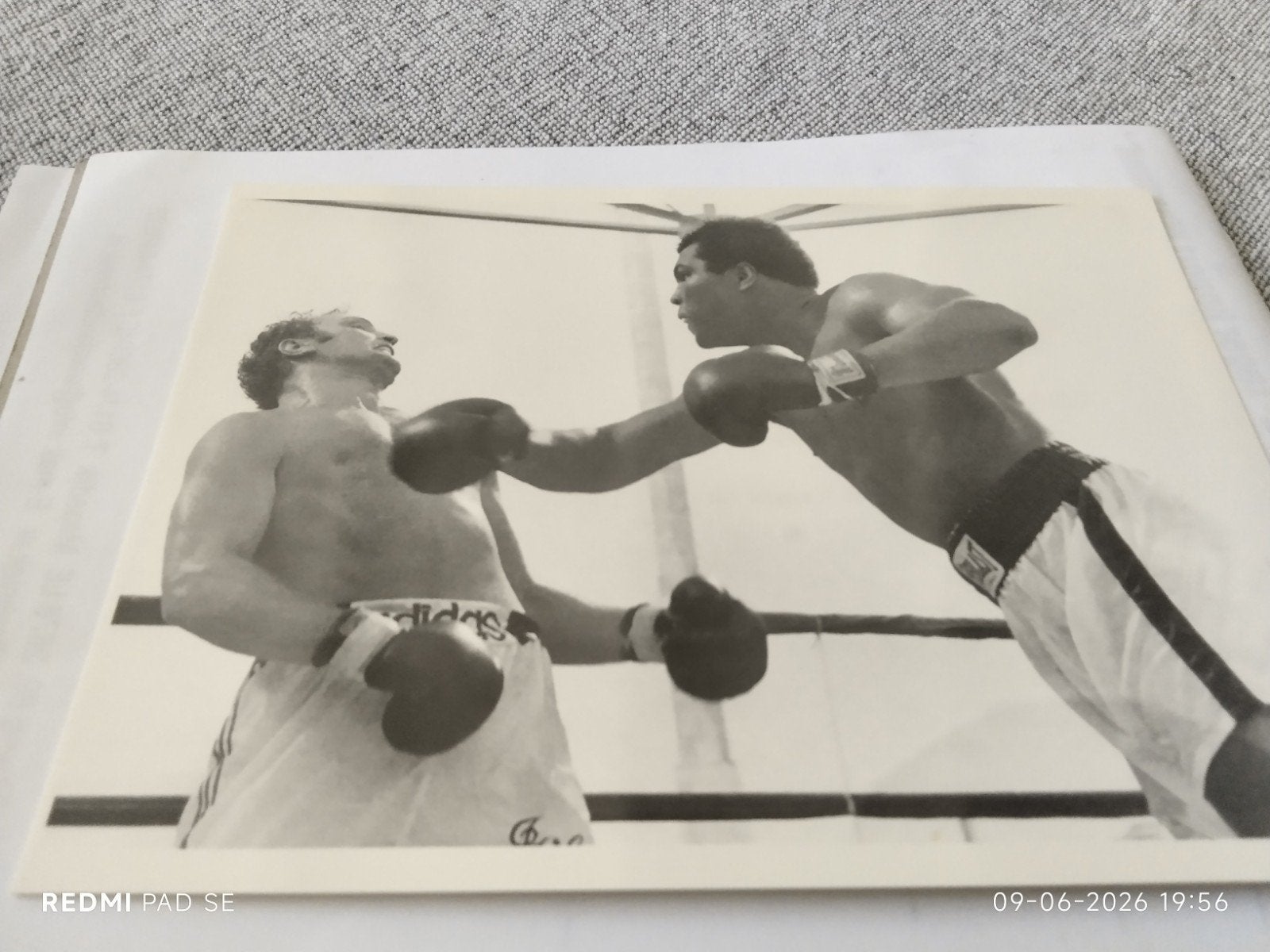 Muhammad Ali boksfoto - Vintage print, Ophalen of Verzenden, Voor 1940, Gebruikt, Overige onderwerpen