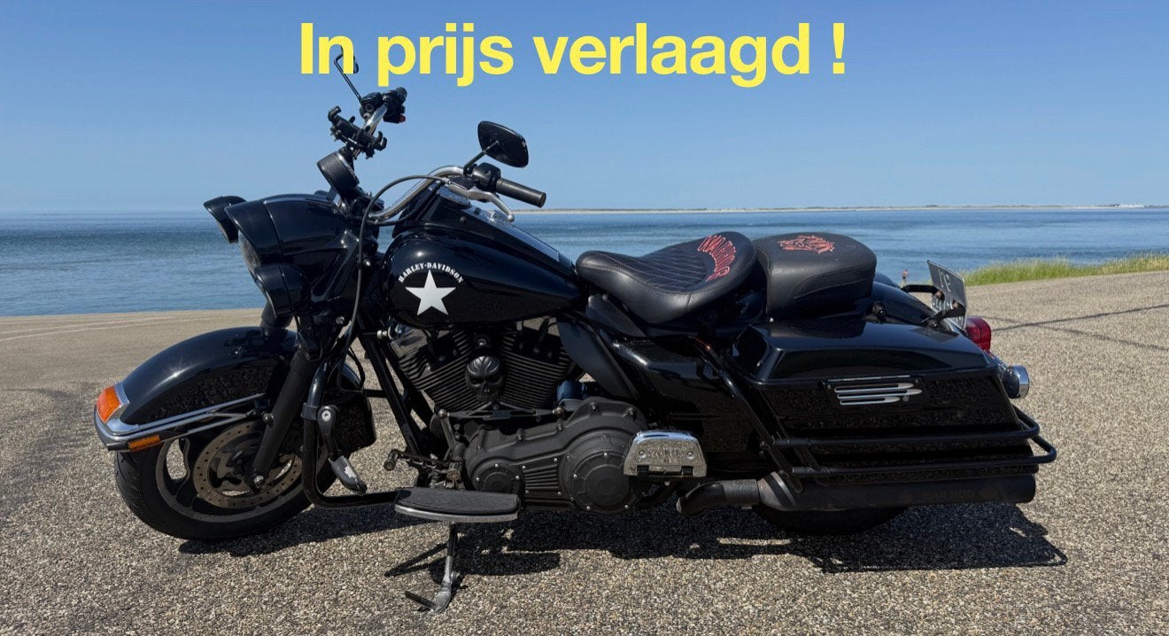 Harley-Davidson Road King Police (FLHP), Motoren, Particulier, Toermotor