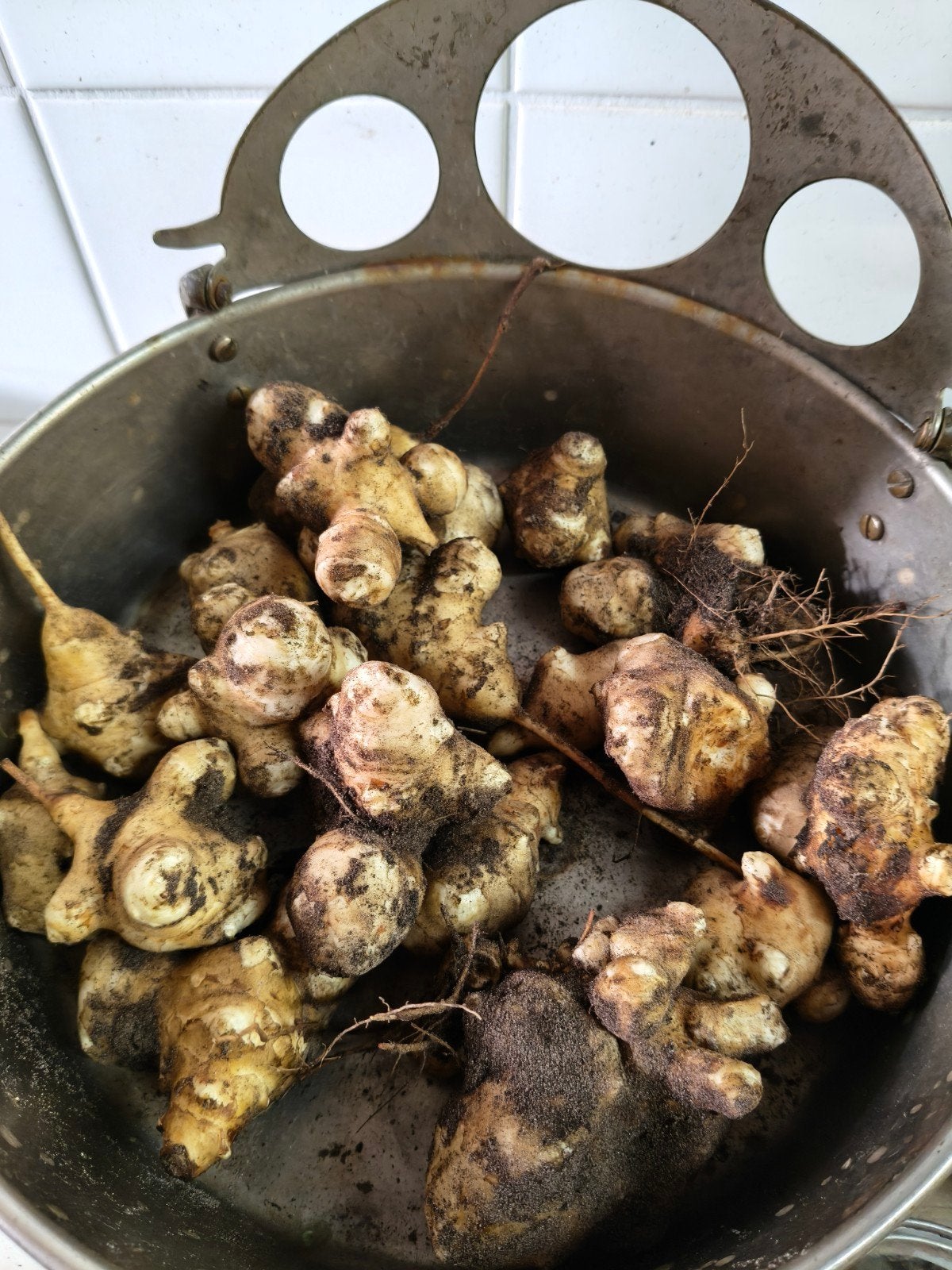 Onbespoten aardperen 1 kilo voor €3, Ophalen of Verzenden