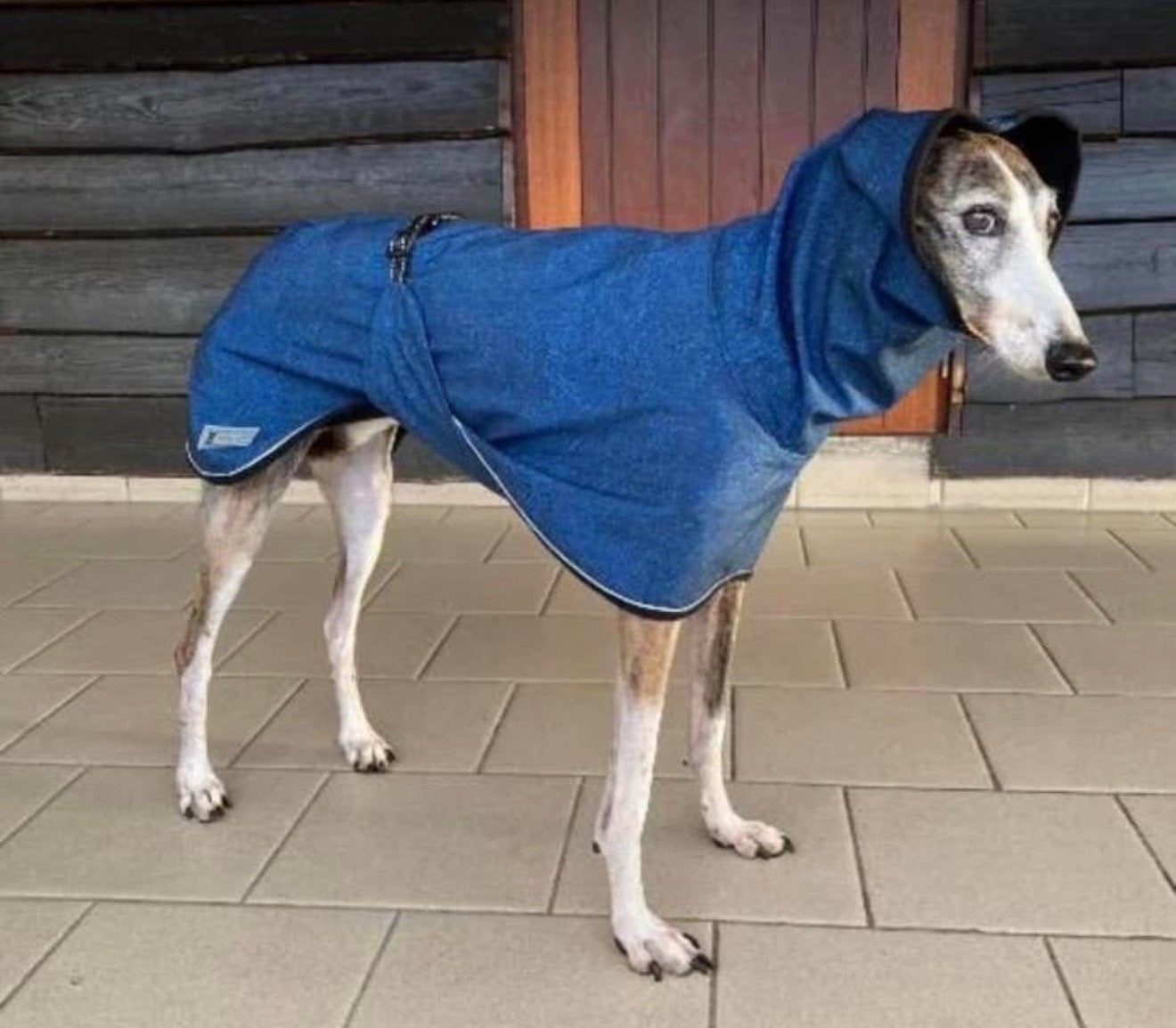 Holly Loo hondenjas jas hond Whippet Greyhound etc, Dieren en Toebehoren, Ophalen, Nieuw, Hondenjas