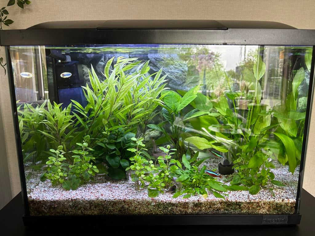 Te koop 60 liter superfish aquarium, Ophalen, Gebruikt, Leeg aquarium, Verwarming