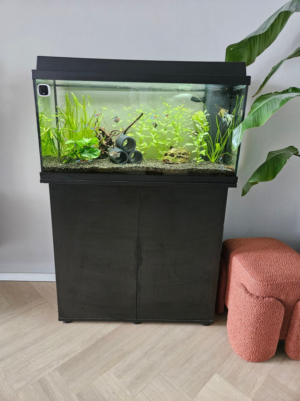 juwel 125 aquarium, Dieren en Toebehoren, Ophalen, Zo goed als nieuw, Gevuld zoetwateraquarium