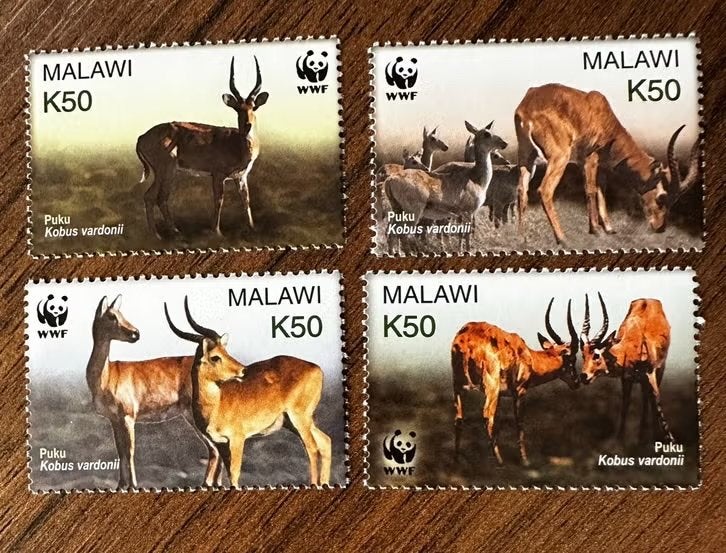Malawi 2003 WWF Dieren Postfris - Puku Kobus vardonii, Ophalen of Verzenden, Postfris