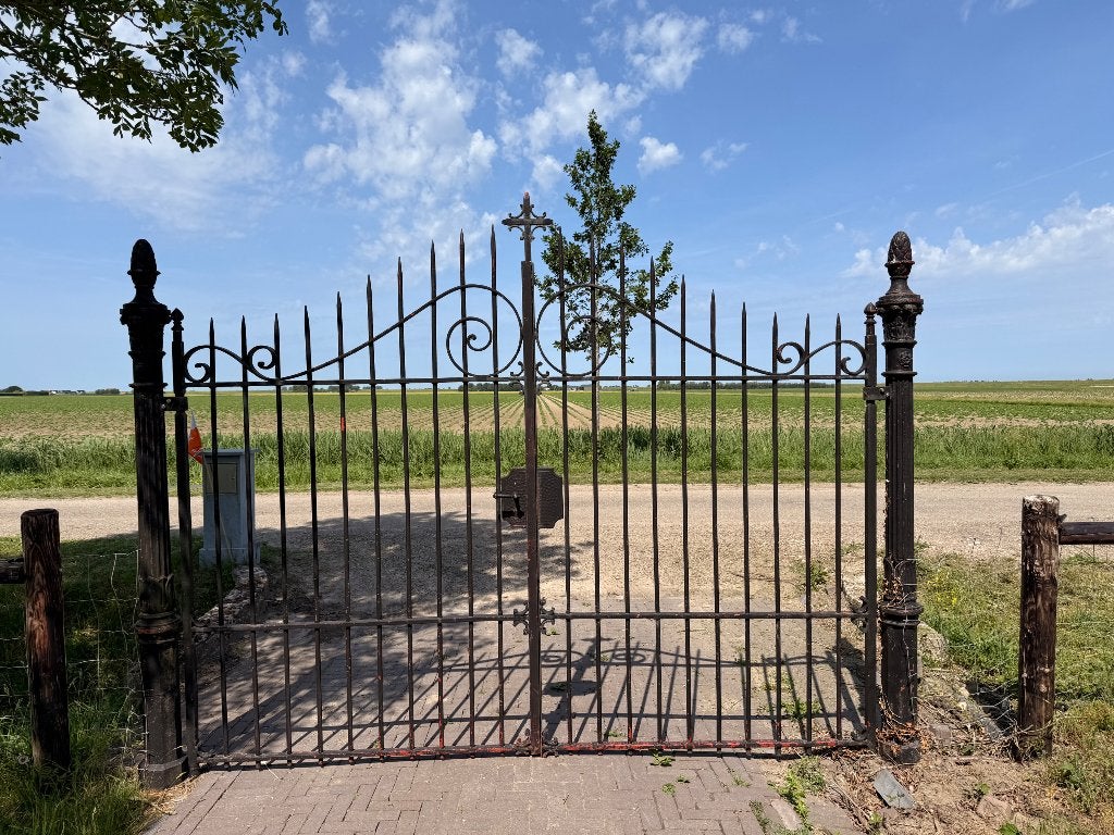 Antieke gietijzer poort toegangspoort hek, Tuin en Terras, Tuinhekken en Hekwerk, Gebruikt, Sierhekwerk, IJzer, Met poort, Ophalen