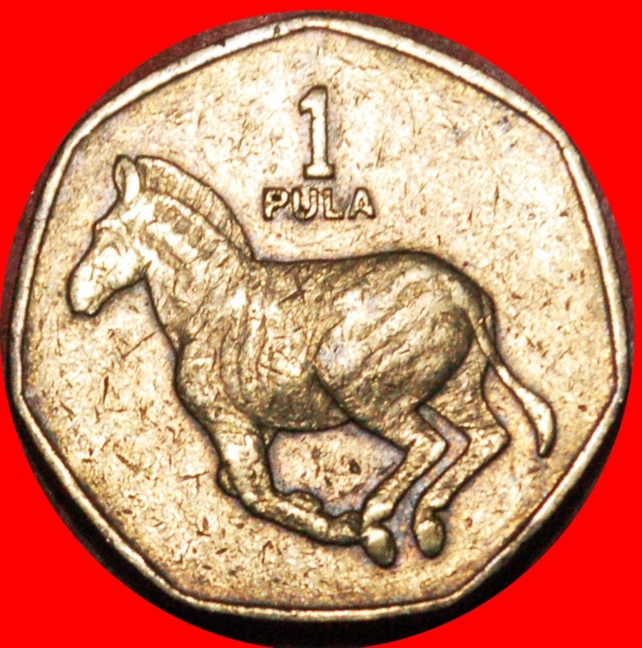 Ⰺ CANADA (1991-2007): BOTSWANA 1 PULA 1991 HEPTAGON ZEBRA!, Ophalen of Verzenden, Overige landen, Losse munt