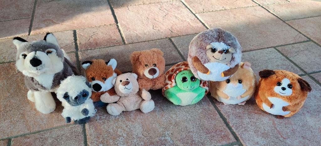 Verzameling knuffels o.a. Ty knuffels, Ophalen of Verzenden, Nieuw, Overige typen