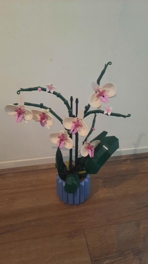 LEGO Orchidee (10311) - Compleet, zonder doos, Lego, Ophalen of Verzenden, Zo goed als nieuw, Compleet