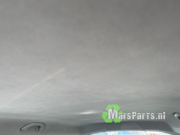 Hemelbekleding van een Skoda Fabia, Gebruikt, -, -, Ophalen of Verzenden