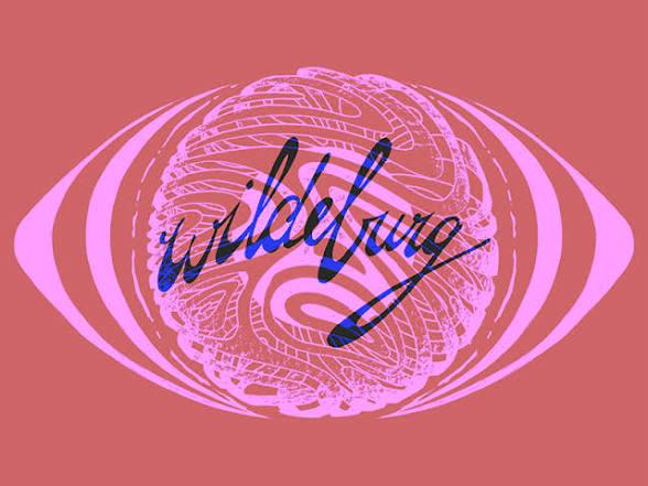 3 wildeburg tickets!, Twee personen