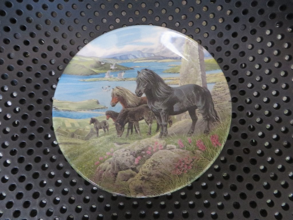 Davenport Engels aardewerk sier bord, Shetland ponies, Ophalen of Verzenden