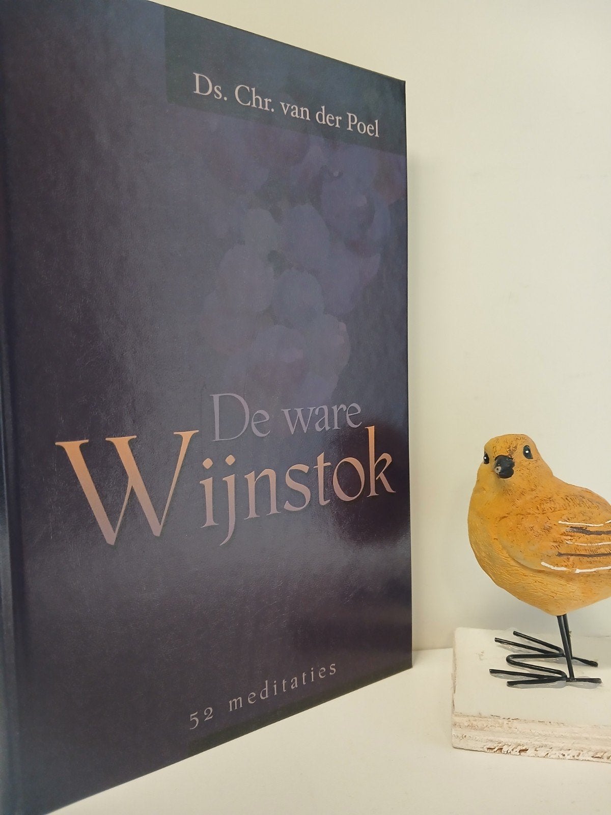 Poel, Ds. Chr. Van der;  De ware Wijnstok, Boeken, Ophalen of Verzenden, Gelezen, Christendom | Protestants