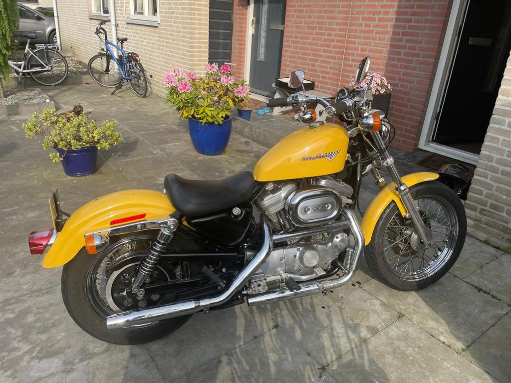 Sportster 1200 custom