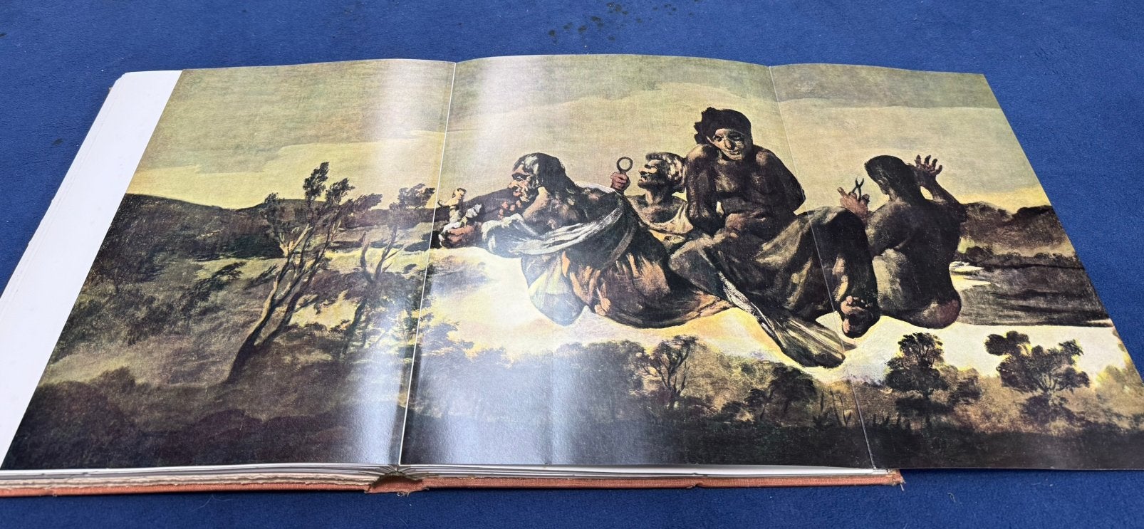 De zwarte Schilderijen van Goya. Prachtig boek, Ophalen of Verzenden, Zo goed als nieuw, Sport
