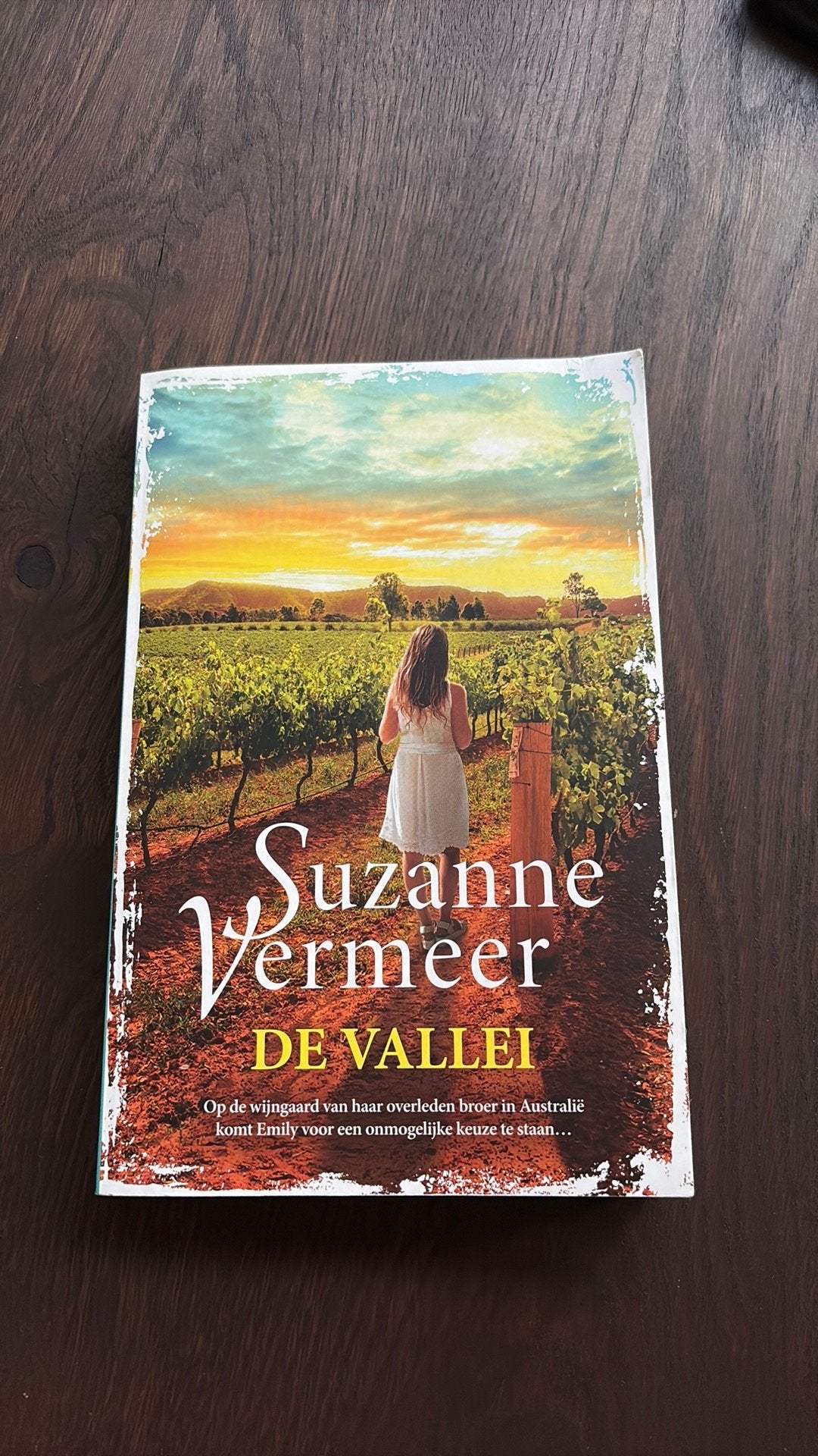 De Vallei, Ophalen of Verzenden, Zo goed als nieuw, Suzanne Vermeer