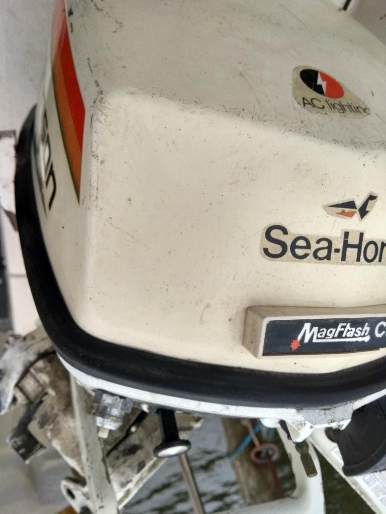 Johnson Seagull 6 pk motor goed lopend, Ophalen, Gebruikt, Motor en Techniek