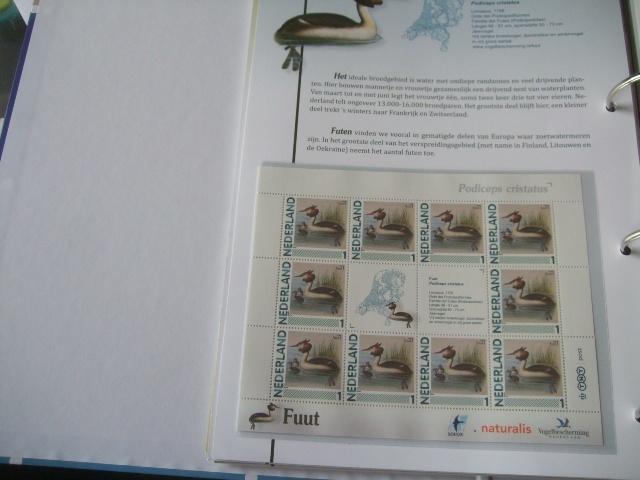 Prachtig vel vogels Fuut, Verzenden, Postfris, Dier of Natuur
