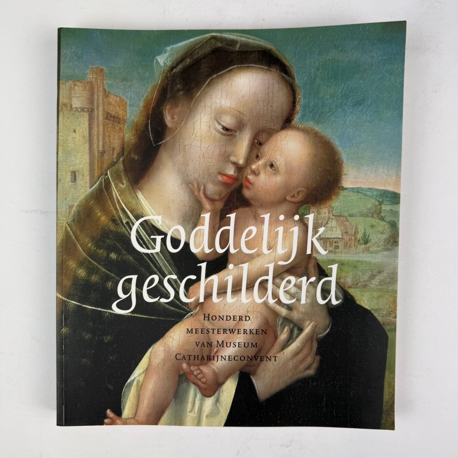 Goddelijk Geschilderd - Museum Catharijneconvent Kunstboek, Boeken, Ophalen of Verzenden, Gelezen, Schilder- en Tekenkunst