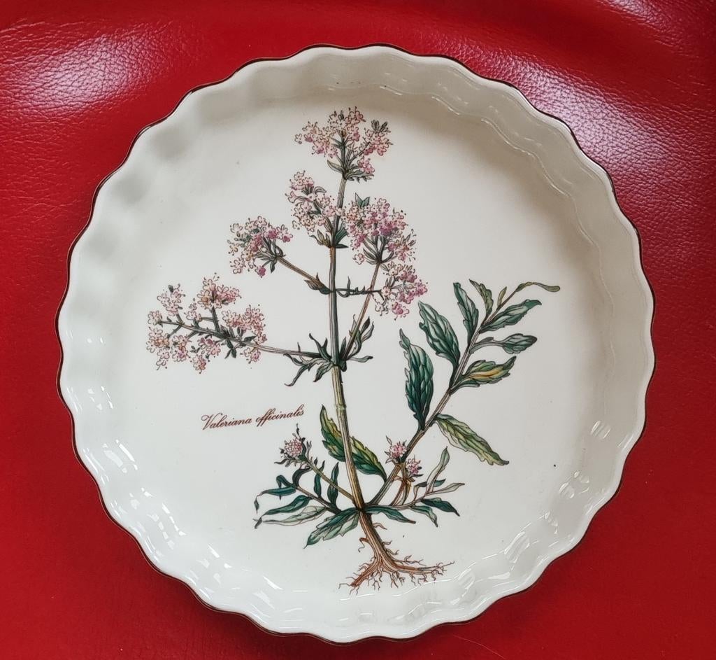 Botanica ovenschaal - Villeroy & Boch - Zo goed als nieuw, Ophalen of Verzenden, Overige stijlen, Porselein, Schaal of Schalen