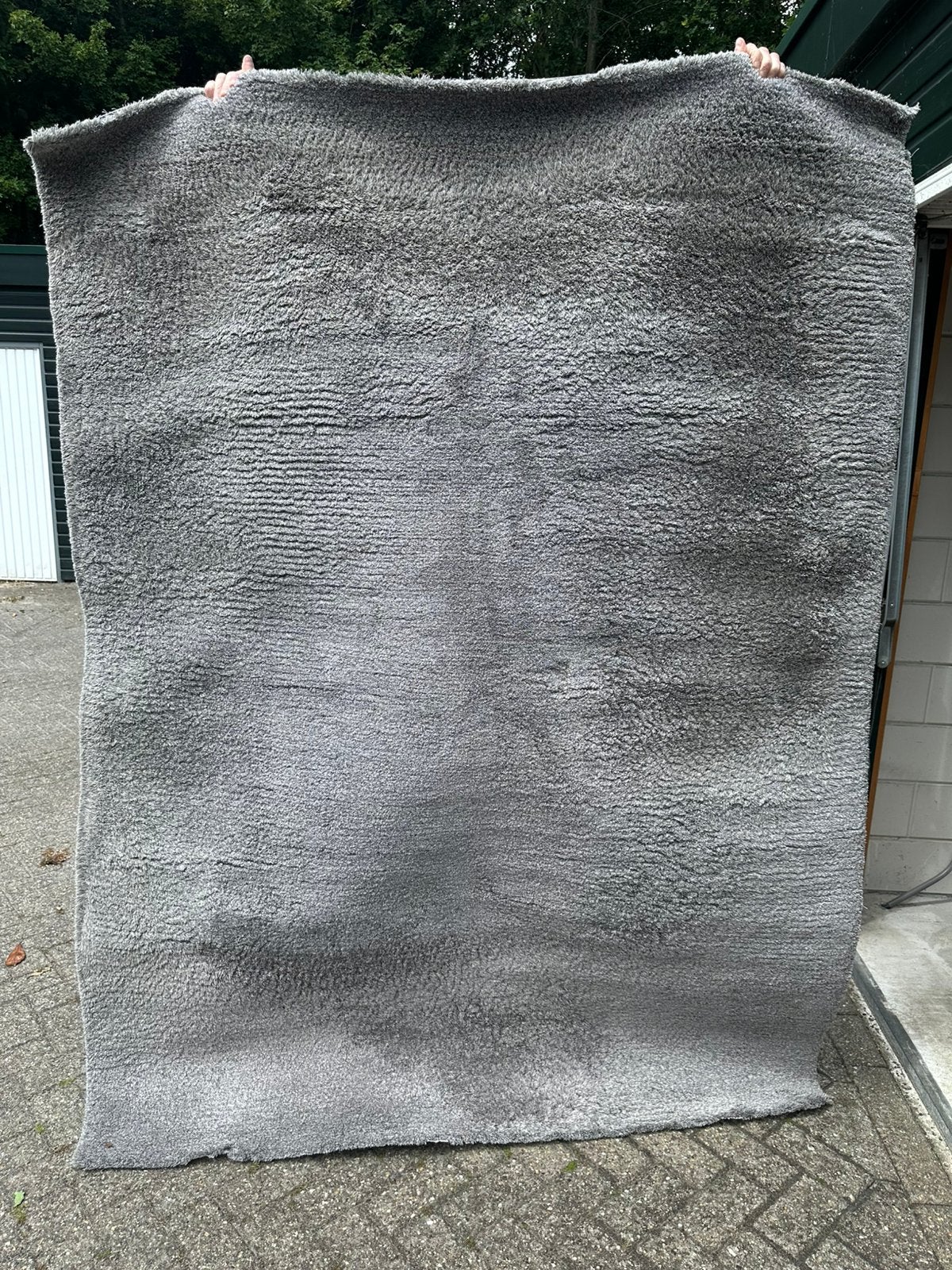 Bella Basso Tapijt 230x170, Ophalen, 150 tot 200 cm, 200 cm of meer, Zo goed als nieuw