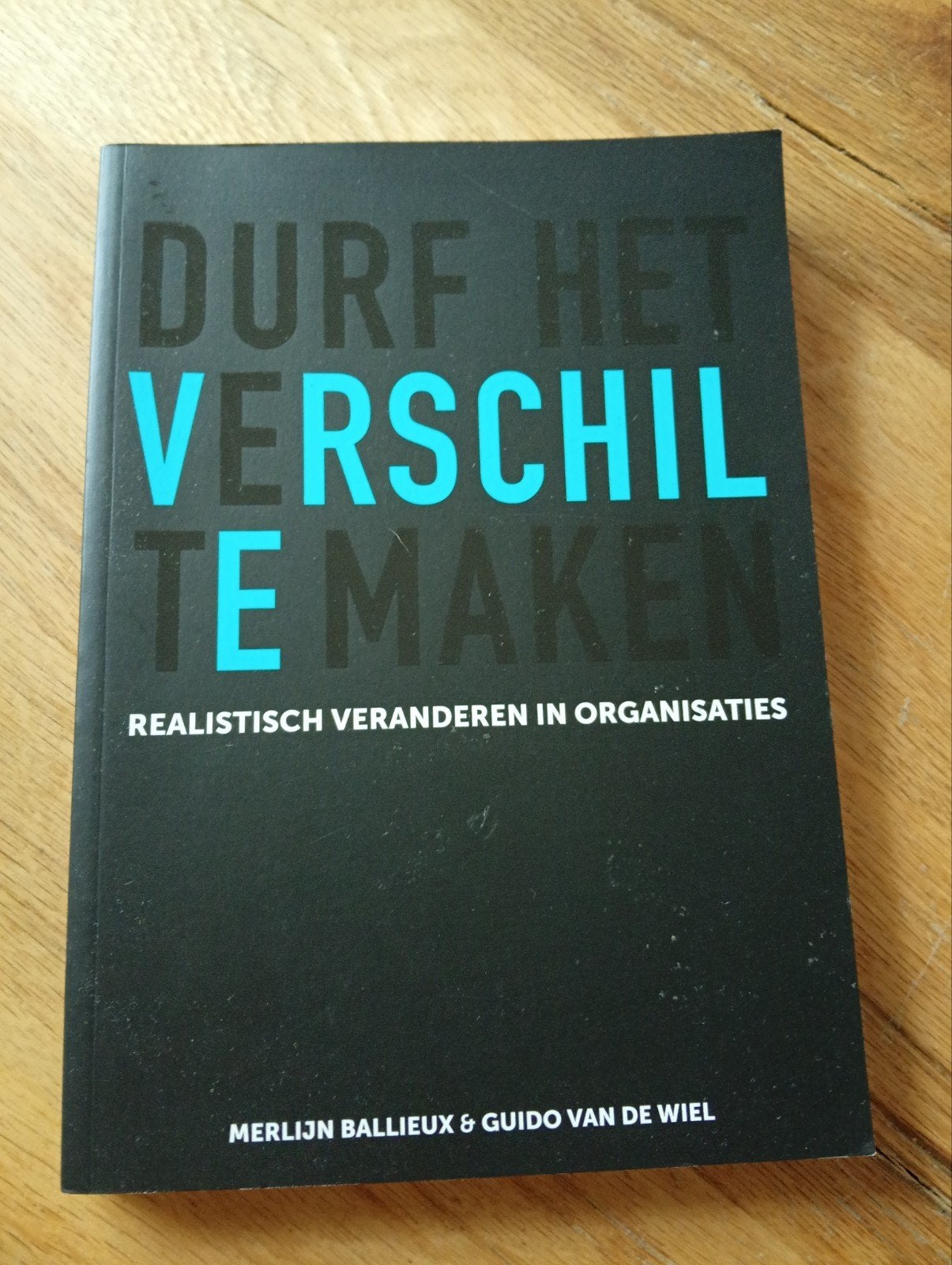 Durf het Verschil te Maken - Realistisch Veranderen, Boeken, Merlijn Ballieux & Guido van de Wiel, Ophalen of Verzenden, Management