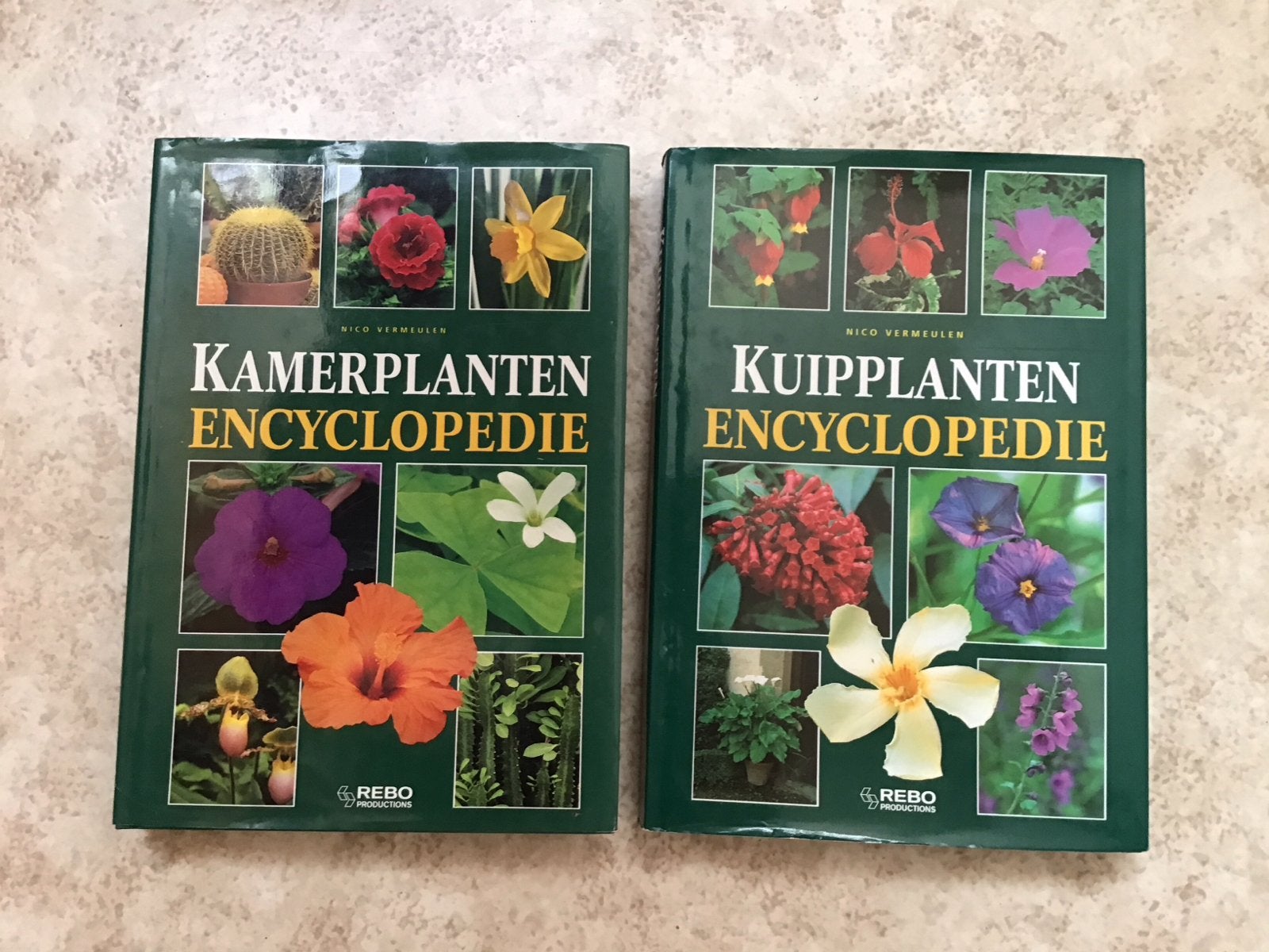 Kamerplanten & Kuipplanten Encyclopedie - Nico Vermeulen, Ophalen of Verzenden, Zo goed als nieuw, Kamerplanten