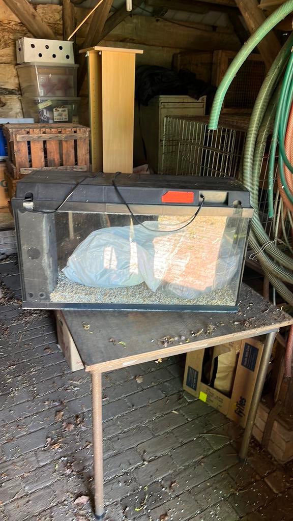 Aquarium Juwel, Dieren en Toebehoren, Vissen | Aquaria en Toebehoren, Ophalen, Zo goed als nieuw, Leeg aquarium