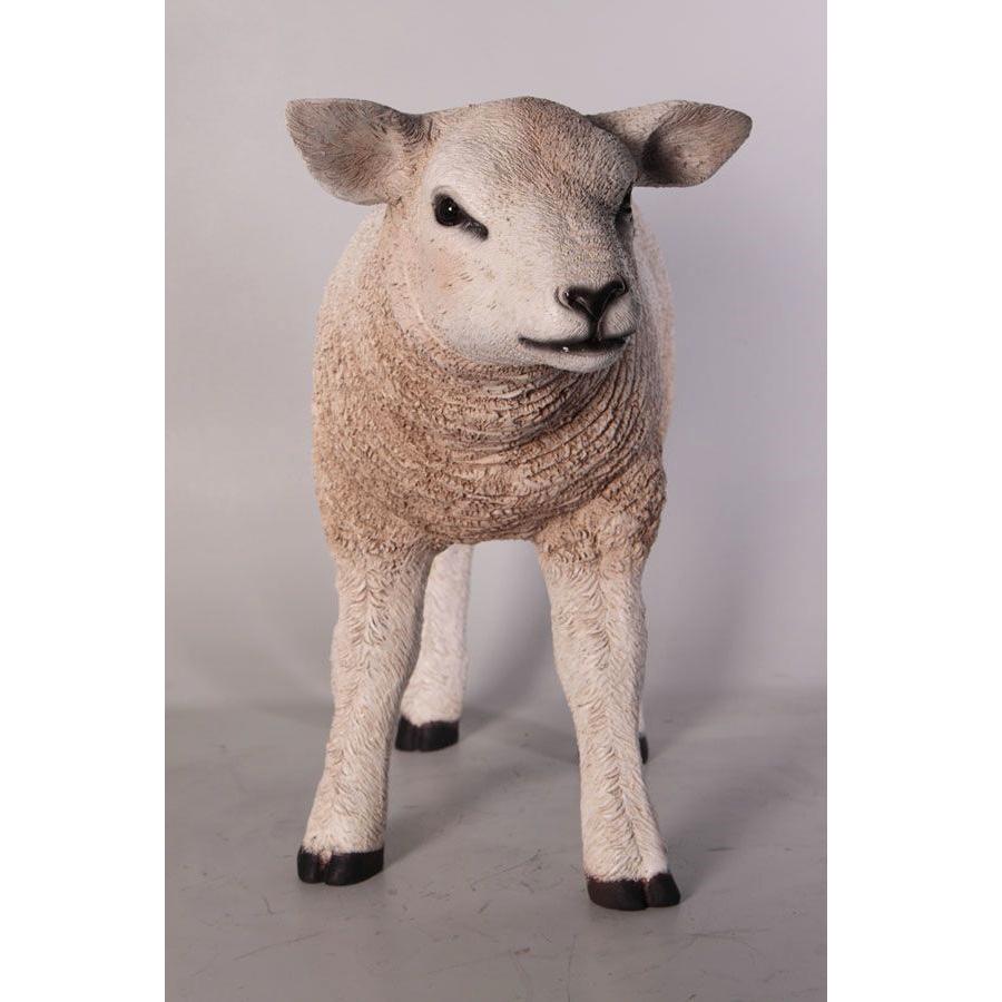 Texelaar Lam – Schaap beeld Lengte 58 cm, Ophalen, Nieuw, Overige typen
