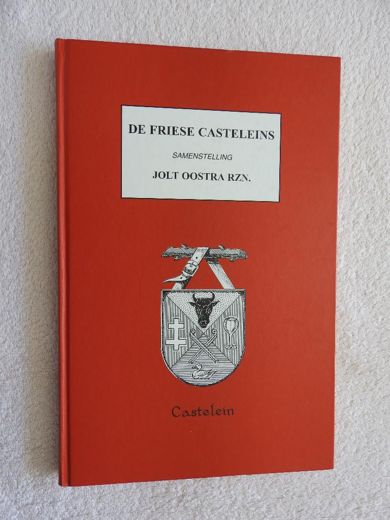 De Friese Casteleins - Samenstelling Jolt Oostra Rzn, Boeken, Ophalen of Verzenden, Zo goed als nieuw