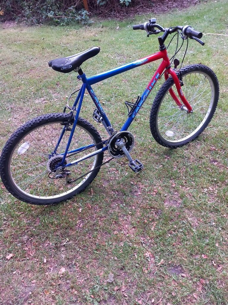Goedfietsende stevige 26 inch Carbike Mountainbike., Gebruikt, 26 inch, Meer dan 20 versnellingen, Ophalen