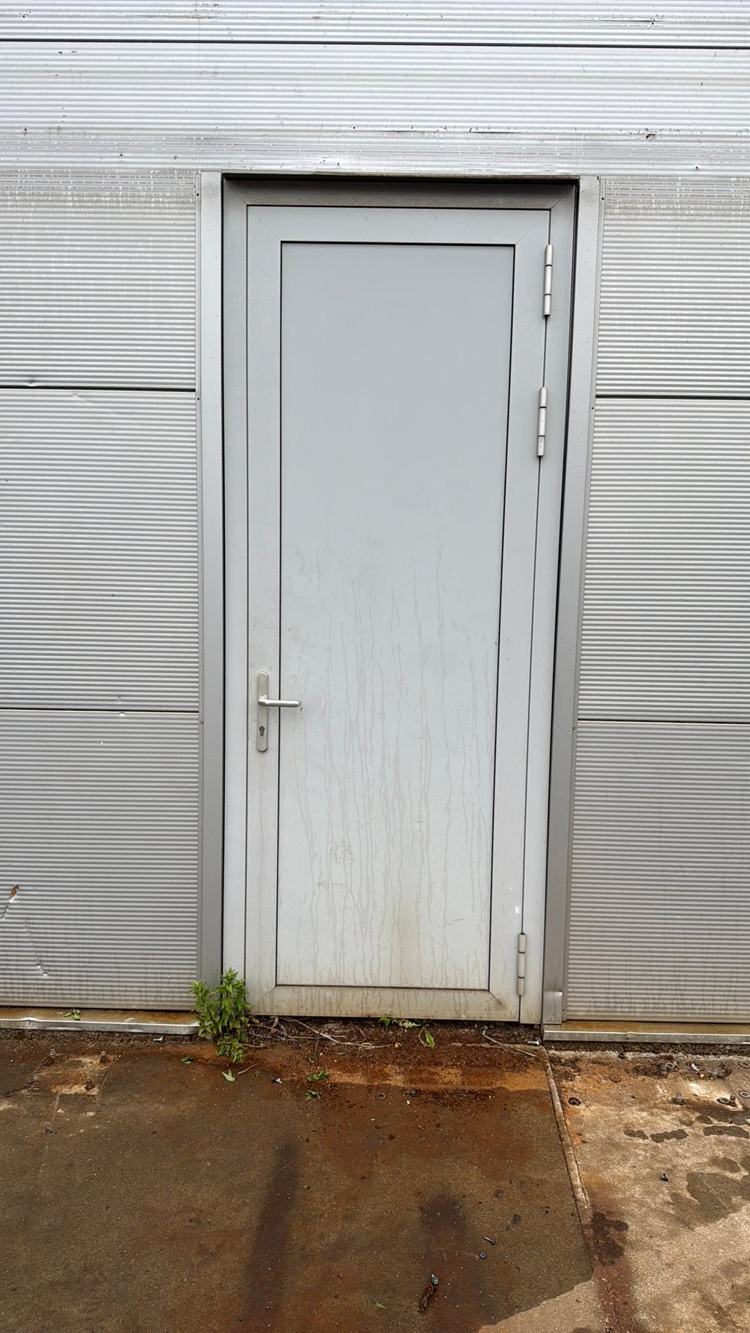 Gebruikte metalen buitendeur - grijs, robuust, Ophalen, Gebruikt, 120 cm of meer, Buitendeur