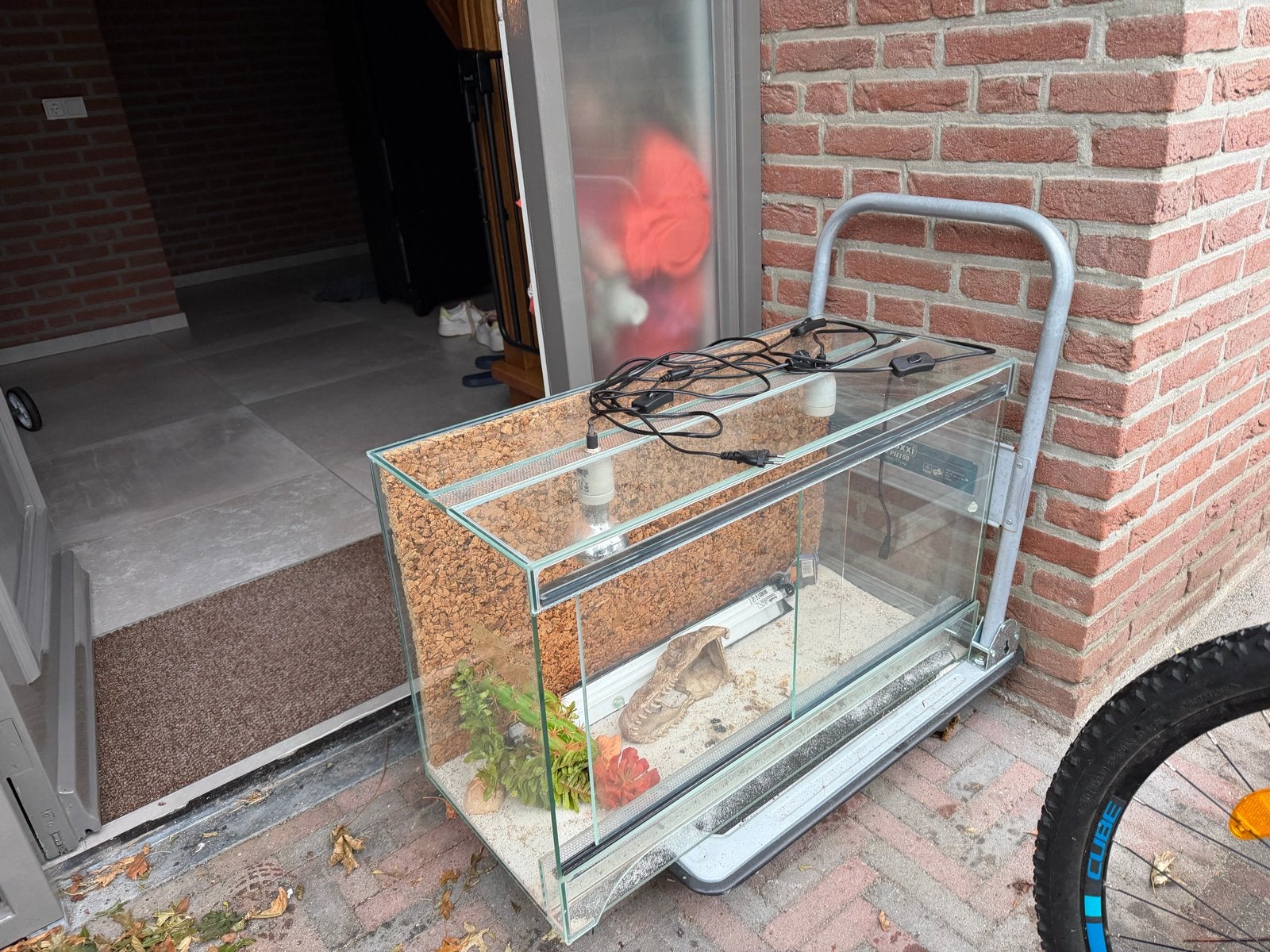 terrarium, Ophalen, Gebruikt, Terrarium of Paludarium