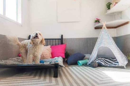 Pet boarding, Ophalen