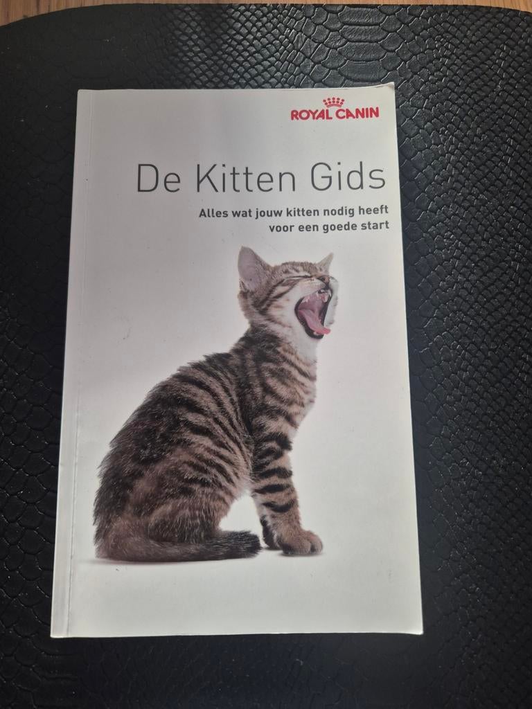 De kitten gids, Ophalen of Verzenden, Zo goed als nieuw, Katten