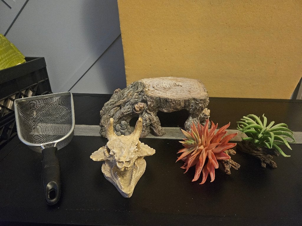Terrariumbenodigdheden, Dieren en Toebehoren, Ophalen, Zo goed als nieuw, Tak, Plant, Rots of Steen