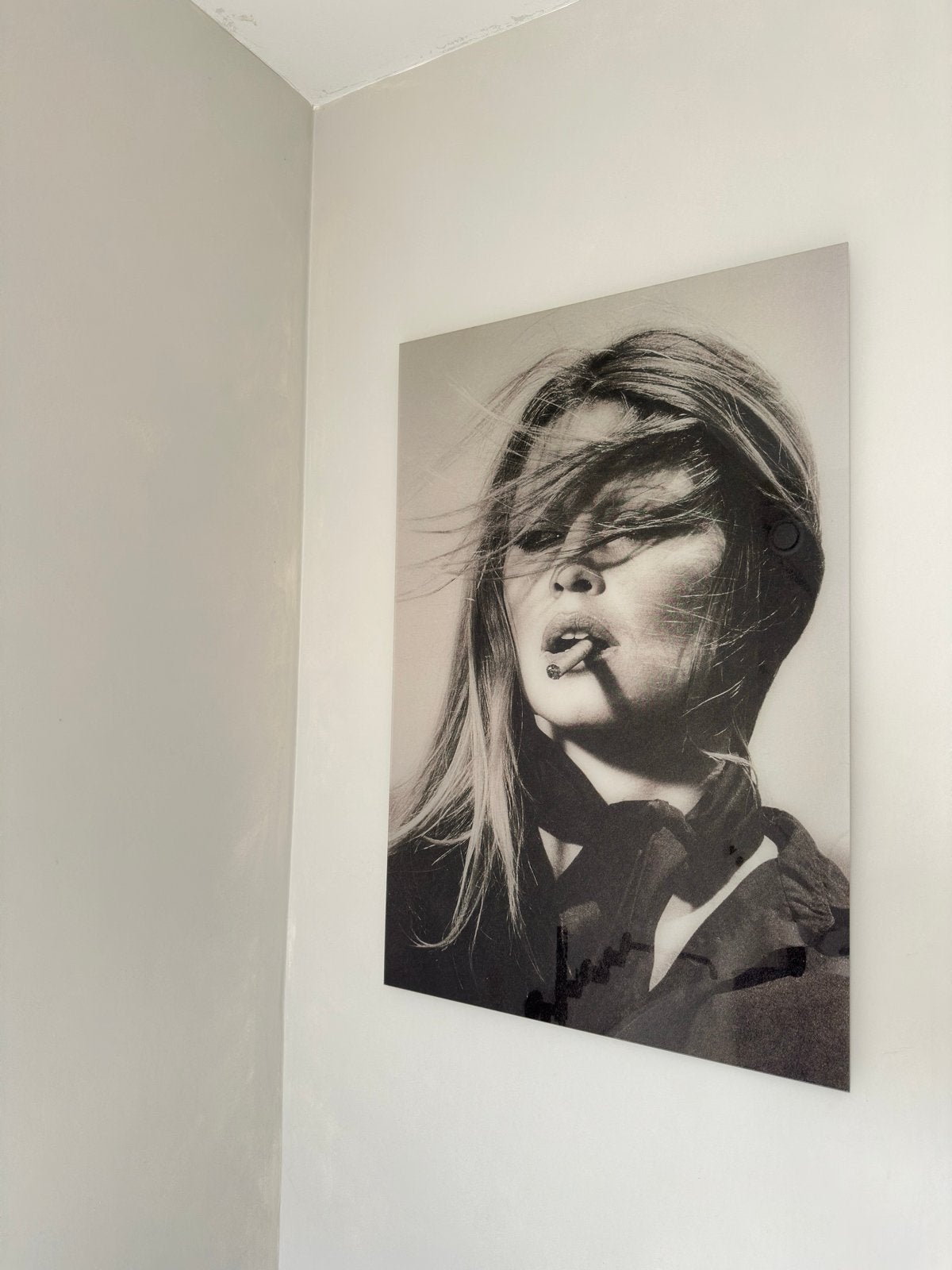 Acrylaat plaat Brigitte Bardot, Ophalen, Zo goed als nieuw, Foto of Poster, 75 – 100