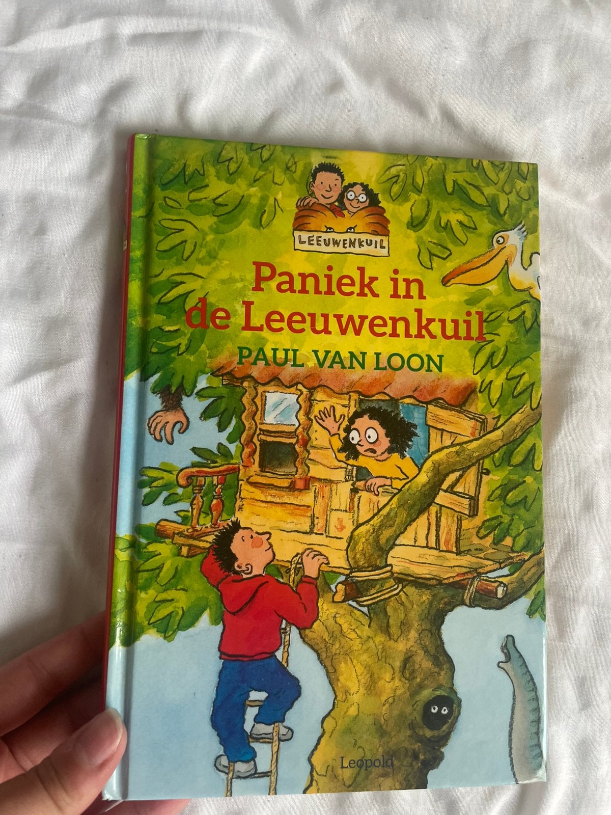 Boek, Boeken, Kinderboeken | Jeugd | onder 10 jaar, Ophalen of Verzenden, Zo goed als nieuw, Fictie algemeen