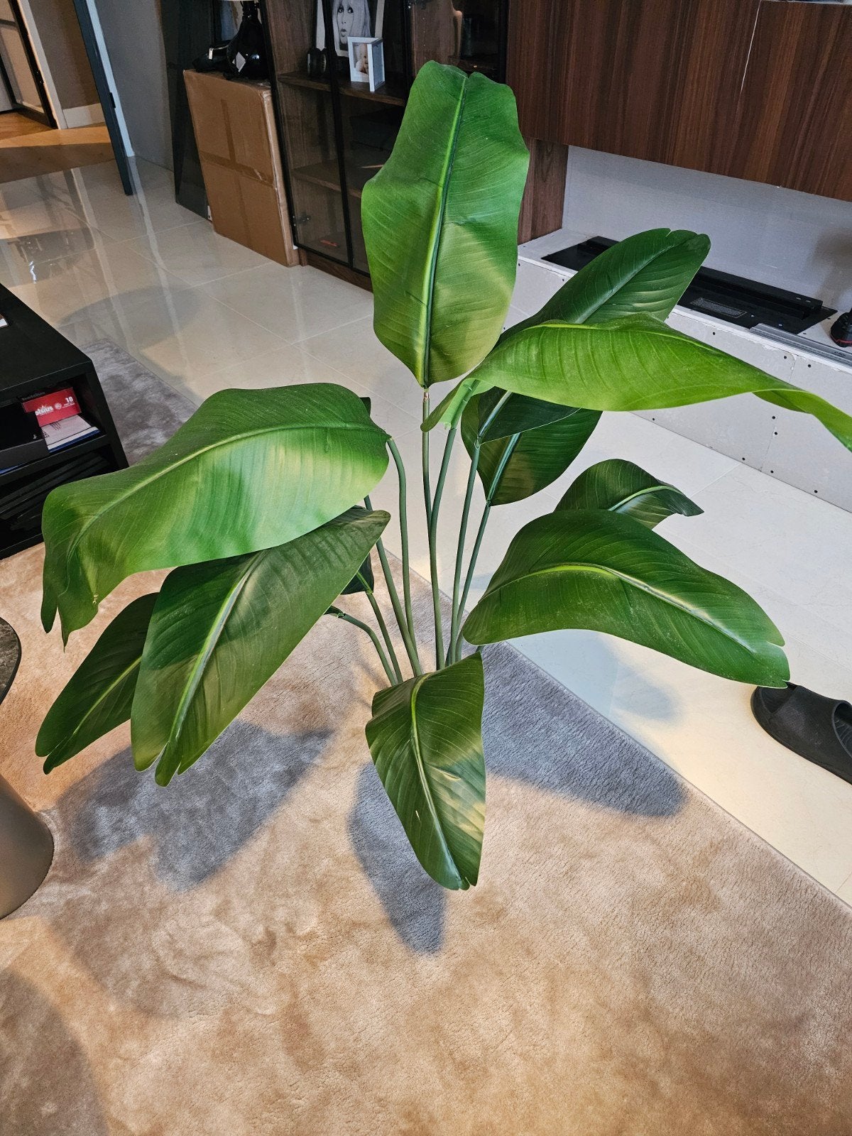 strelitzia kunstplant, Ophalen, Natuurlijk materiaal, Groen, Kunstplant