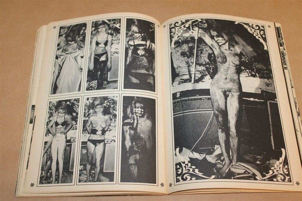 Dit Hap-Hap-Happens in Amsterdam — Provo en Happenings 1966, Boeken, Ophalen of Verzenden, Gelezen, Nederland