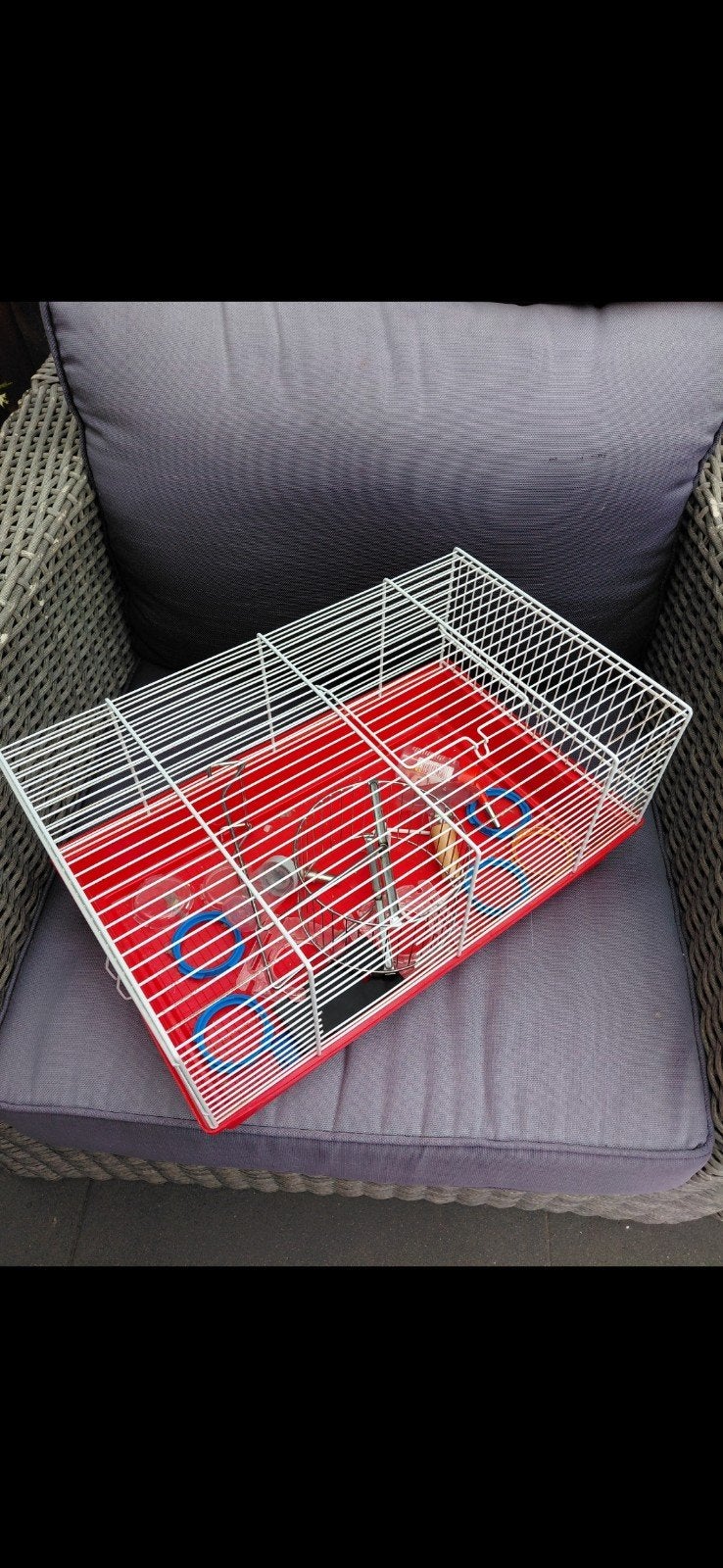 Hamsterkooi en toebehoren, Dieren en Toebehoren, Ophalen of Verzenden, Minder dan 75 cm, Kooi, Minder dan 60 cm