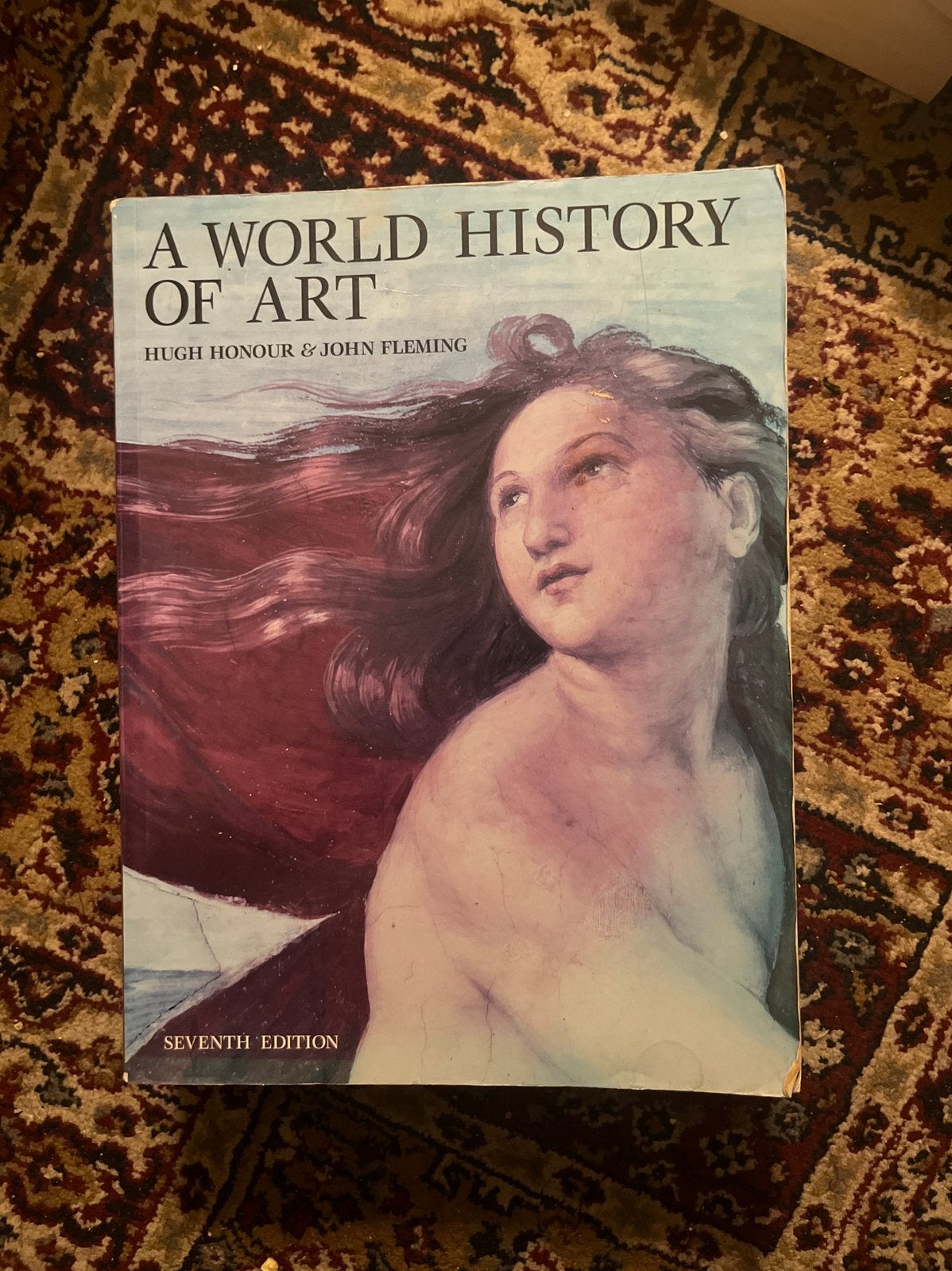 A world history of art seventh edition Honour Fleming, Ophalen of Verzenden, Gelezen