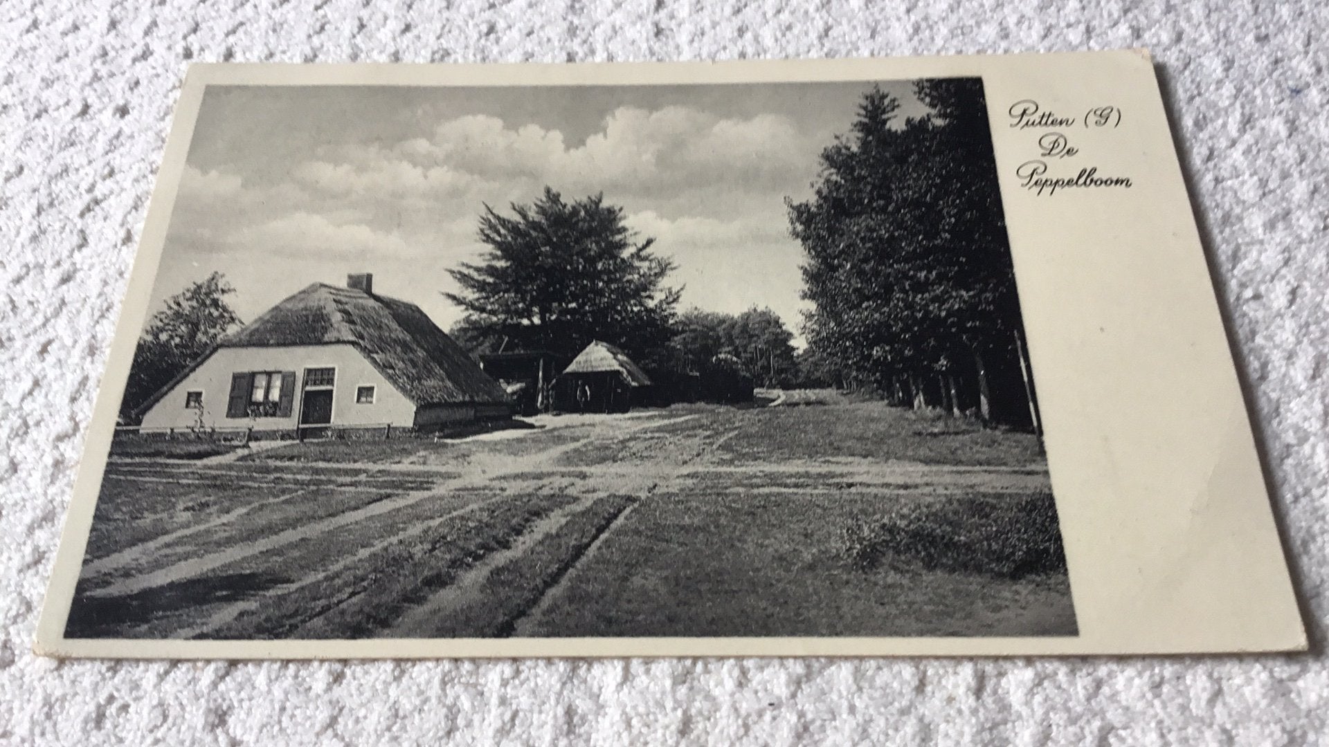Putten- Gelderland. De Peppelboom., Ophalen of Verzenden, 1920 tot 1940, Gelopen, Gelderland